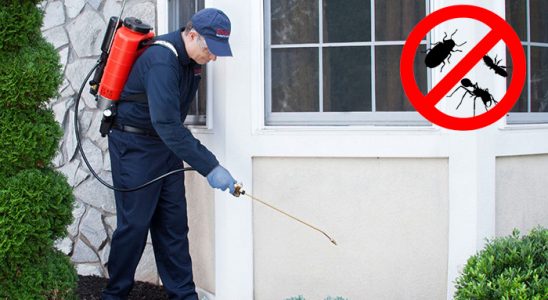 Gökçeada Hamam Böceği İlaçlama böcek ilaçlama ve haşere kontrolü — ilaclama-tr.com